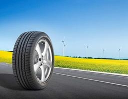 summer-tire-efficientgrip_tcm1625-82675