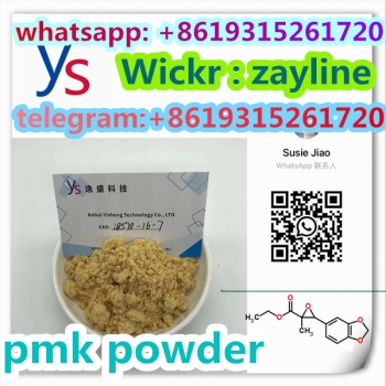 cas 28578-16-7 pmk powder (4)
