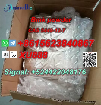 cas 5449-12-7-bmk powder- bmk glycidic acid (4)