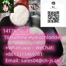 14176-50-2 tiletamine hydrochloride