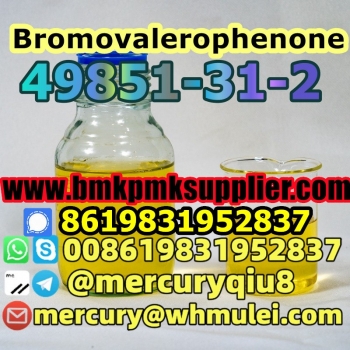 2-bromo-1-phenyl-1-pentanone 05